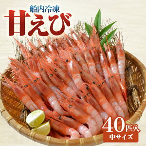 yӂ邳Ɣ[ŁzÂсiсjTCY40C 700gO Ⓚ ɌZYz{CŐgꂽNxQ̊ÂтDŋ}Ⓚ זE󂳂,Hi̔L[v Yn