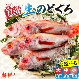 【ふるさと納税】【訳あり】調理済 香住産 のどぐろ 【選べるサイズ（小：5匹～8匹／中：5匹／大： 3匹）】令和8年3月下旬以降 冷凍 アカムツ 高級魚 ノドグロ 鮮魚 魚介類 お刺身 煮物 ご飯 唐揚げ 塩焼き 産地直送 兵庫県 香美町 宿院商店 33-14 33-30 33-31 送料無料