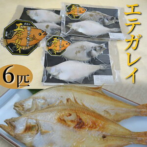 yӂ邳Ɣ[ŁzEl̂  GeKC y2×3pbN v6Cz銱 h܂⒲͎gpfނ̖悤I R  Ⓚ CN y   JC 