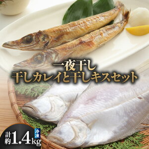yӂ邳Ɣ[Łz 2  JC LX 1.4kg  Hה JC 600g LX 800g Mtg 銱 lߍ킹 Ђ H C ܂ ̓ lC  ȒP y 