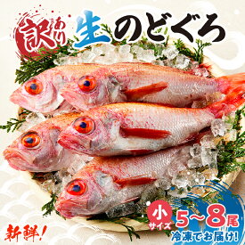 【ふるさと納税】《訳あり》 調理済 香住産 のどぐろ 【選べるサイズ・小：5匹～8匹／中：5匹／大： 3匹】 アカムツ 高級魚 ノドグロ 鮮魚 魚介類 魚 お刺身 刺身 さしみ 煮物 焼き魚 兵庫県 香美町 香住 宿院商店 冷凍 33-30 送料無料