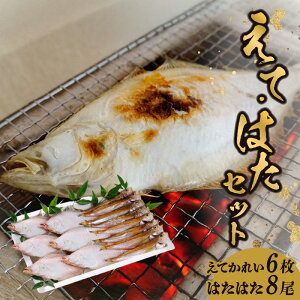 yӂ邳Ɣ[Łzy ĂꂢE͂͂Zbg GeJC6 n^n^8 Ⓚz銱 `́u܂Ԃ艖v@ŒJɎdグn^n^ƎƂōlC̃GeJC 