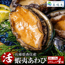 【ふるさと納税】10/15 テレビで紹介 活あわび 9.5cm×4個 計400～480g/1個(100〜120g) 送料無料 冷蔵 養殖 海鮮 アワビ 鮑 国産 蝦夷アワビ エゾアワビ 蝦夷鮑 ステーキ 高級海鮮 お刺身 お歳暮 蒸しあわび 酒蒸し バター焼き ギフト 20-03