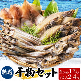 【ふるさと納税】特選 干物 4種 セット 計1.2kg＋一夜干しスルメ 大2～4枚 送料無料 干物セット カレイ ハタハタ キス スルメイカ詰め合わせ ギフト はたはた いか ひもの 父の日 人気 海鮮 魚介 魚 肴 保存 おつまみ 国産 一夜干し きす 冷凍 干物詰合せ 個包装 すぐ 33-03