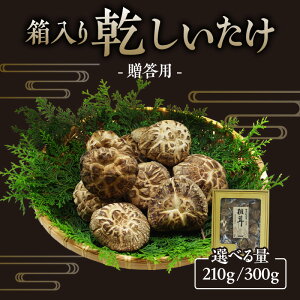 yӂ邳Ɣ[Łzp   yIׂe z؍͔| ő ő ̂ Mtg  ŏ㋉ VC^P ő ϕ ؍͔| 蕨 O 