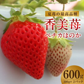 【ふるさと納税】【期間限定】夏イチゴの最高級品種【ペチカほのか】300g（12～24粒）×2パック【計600g】フルーツ 香美町で育てた香美苺 いちご 果物 苺 7月から11月までの間に発送いたします。果物 ストロベリー 甘い苺 最高級品種 送料無料
