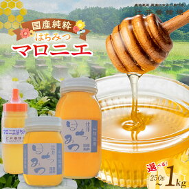 【ふるさと納税】国産純粋 マロニエはちみつ【選べる内容量 250g〜1kg】 純粋はちみつ 国産 ハチミツ 蜂蜜 マロニエ 栃の木 辻井養蜂場 国産純粋はちみつ 日本産 健康食品 みつばち 兵庫県 香美町 返礼品 81-01 送料無料