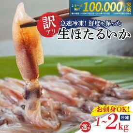 【ふるさと納税】☆高評価レビュー返礼品☆ 訳あり 生ほたるいか 小分けパック（1パック250g）《選べる容量 1kg・1.5kg・2kg》【令和9年3月以降お届け予定】 数量限定 ホタルイカ 冷凍 わけあり サイズ 不揃い いか イカ 刺身 生食 兵庫県 香美町 香住産 07-02 送料無料