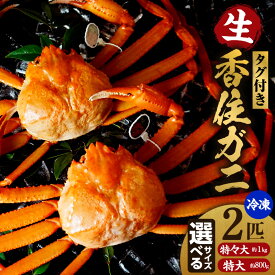 【ふるさと納税】【先行予約】令和8年2月中旬以降順次発送予定 活〆タグ付き 香住ガニ 【選べるサイズ（特大 約800g×2匹（合計約1.6kg以上）／ 特々大 約1.0kg×2匹（合計約2.0kg以上）】香住蟹 紅ズワイガニ カニ 蟹 かに 国産 姿 刺身 かに鍋 紅ずわい かにすき