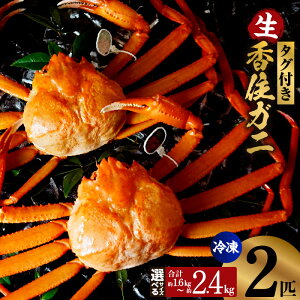 yӂ邳Ɣ[Łzys\zߘa8N2{ȍ~\ Y^Ot ZKjyIׂTCYi 800g×2C ^ X 1.0kg×2C ^ 1.2kg×2CjzZI gYCKj 