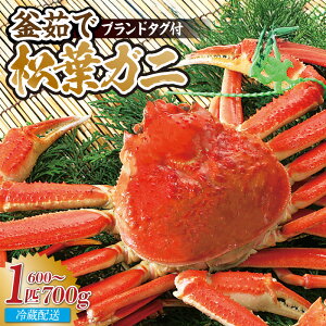 yӂ邳Ɣ[Łzys\z䥂 tKj 1C(600`700g) yIׂ邨͂ԁIi①EⓀjzߘa7N11{ȍ~ Jj I ^Ot tI  {C p 䥂 I 