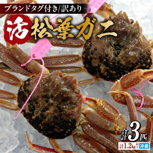 yӂ邳Ɣ[Łzs\ ɌZY 󂠂  tKj 3C(1.2`1.5kg) ① Jj̖{ Ɍ  Z` tKj Jj Jjh Ă 䥂ł Ynؖ ^Ot 