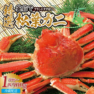 yӂ邳Ɣ[Łzs\ 䥂łĔ I䥂 tKj 1C (800g`900g)yIׂ邨͂ԁIi①EⓀjzYnؖ̃^Ot Jj|t tKj Ԃ  Jj 