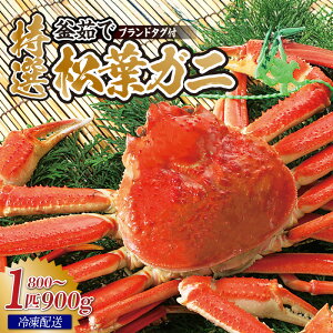 yӂ邳Ɣ[Łzs\ 䥂łĔ I䥂 tKj 1C (800g`900g)yIׂ邨͂ԁIi①EⓀjzYnؖ̃^Ot Jj|t tKj Ԃ  Jj 