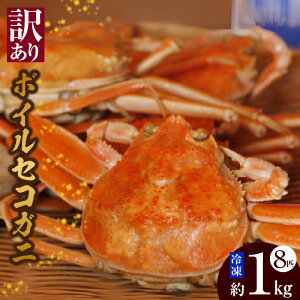 yӂ邳Ɣ[Łzy󂠂zy{CZRKj 8C v1kg w܂ ⓀzmF㏇ ZȃJjXƂ݂ɂȂq OqiI䥂 Ⓚ Yn NxQ lC 
