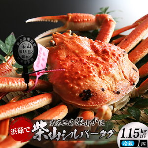 yӂ邳Ɣ[Łzys\zJlj̕l䥂ŎĎR ĎRVo[^Oty{C1.15kgȏzڗElII ①  ĎR {C ȒP  O CN ĂKj