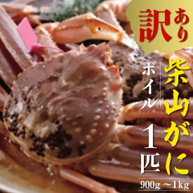 【ふるさと納税】【先行予約】【訳あり】ボイル 柴山がに（冷凍）900g～1kg 1匹 送料無料 番がに 柴山港 松葉ガニ 松葉かに 松葉蟹 浜茹で カニ 茹で 蟹味噌 かにみそ 蟹鍋 カニしゃぶ 年末 かに 蟹 国産 ズワイガニ 焼き蟹 蟹しゃぶ 規格外 欠足 傷 汚れなど 04-08