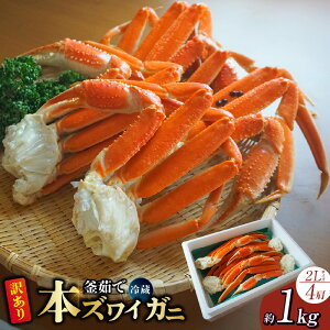 yӂ邳Ɣ[Łz󂠂 䥂 {YCKj 2L 4 1kg ① Jj̖{ Z lC YCKj 킢 Jj  킢 YC I Jj ɑ r  ① Ԃ ɂ 