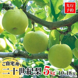 �y�ӂ邳�Ɣ[�Łz�y��s�\��z2026�N�Y �� �y20���I�� ������p 5kg �T�C�Y L�`5L�����i10�`18�ʁj�z������p �s���� �󂠂� �ԗ�i ��\���I�� ���{�C�ɖʂ��關�̖{�� ���Ɍ� ������ �t���[�c 