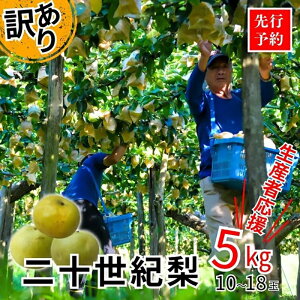 �y�ӂ邳�Ɣ[�Łz�y��s�\��z�y�󂠂�z2026�N�Y �� �y20���I�� 5kg �T�C�Y�o�����L�� L�`5L�z�_ ���Y�҉������i �^ �s���� �䕗�ŗ�����������J�����V��Q���󂯂� ������ �����܂݂܂�