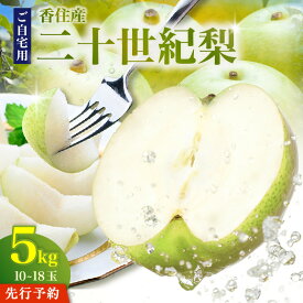 【ふるさと納税】《2027年産 先行予約》 二十世紀梨 ご自宅用 優品 5kg （L～5Lサイズ混合 10～18玉）【令和9年8月下旬以降発送予定】 TVで紹介 香住産 20世紀 梨 不揃い ご家庭用 香住梨 フルーツ くだもの なし ナシ 青梨 和梨 国産 兵庫県 香美町 JAたじま 12-20 送料無料