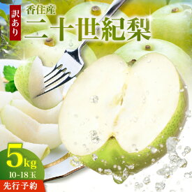 【ふるさと納税】《2027年産 先行予約》 二十世紀梨 訳あり 5kg （L～5Lサイズ混合 10～18玉）【令和9年8月下旬以降発送予定】＼ 生産者応援商品 ／ TVで紹介 香住産 20世紀 梨 不揃い 傷あり ご自宅用 ご家庭用 フルーツ くだもの なし ナシ 青梨 和梨 国産 12-23 送料無料
