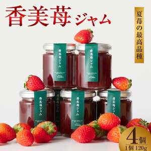 yӂ邳Ɣ[Łz䕃W y120g×4zăC`S̍ōiuy`Jق̂vgp   [Og\[X gbsO\[X H Ɍ   XJCoC XL[ 