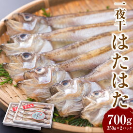 【ふるさと納税】 一夜干はたはた 350g×2パック 計700g ハタハタ 干物 干し魚 干しハタ 魚介 おつまみ 惣菜 おかず 無添加 添加物未使用 国産 冷凍 お取り寄せ 兵庫県 新温泉町 送料無料