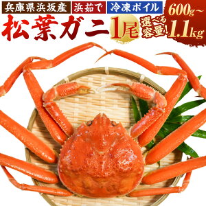 yӂ邳Ɣ[ŁzyɌYzl⋙` l䥂ŕlYtKjiⓀ{Cj㎿Ȉti600g`1.1kgj tKj  Jj I YCKj t tI 1t l䥂  CN  