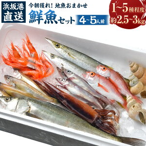 yӂ邳Ɣ[Łzl` l n ܂ NZbg RA {C ɌY ̖ڗ tƐElI{̊C̍KYnł͂ NxQ̒nZbg   N