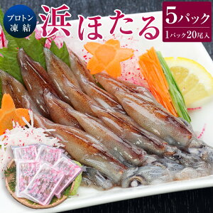 yӂ邳Ɣ[Łzvglق5P vg ق邢 z^CJ  CJ ق邢 hg hg g Ԃ 20 5pbN 100 CN  VN 