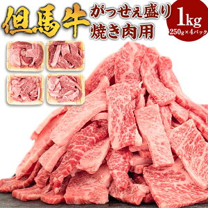 yӂ邳Ɣ[ŁzAn iēpE1kgj250g×4pbN     Ԑg o o ΂ Y јa a ē Ă BBQ  Ⓚ Ɍ V  