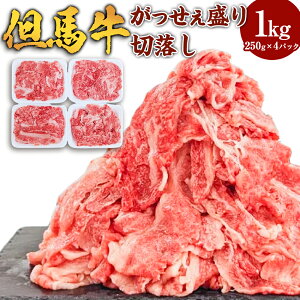 yӂ邳Ɣ[ŁzAn iؗE1kgj250g×4pbN     Ԑg o o ΂ Y јa a ؗ ؂藎Ƃ  Ⓚ Ɍ V 