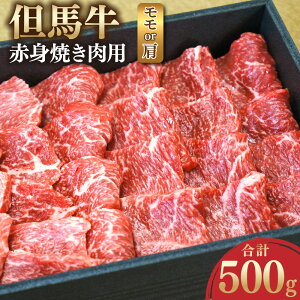 yӂ邳Ɣ[ŁzAn ԐgĂpi͌j 500g    Ԑg Ԑg       ē Ă BBQ o[xL[ Ⓚ  O j j y