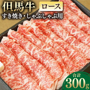 yӂ邳Ɣ[ŁzAn [XĂEԂԗp 300g   ؂  [X [X [X Ă ₫ Ԃ Ⓚ  O Mtg 蕨 j