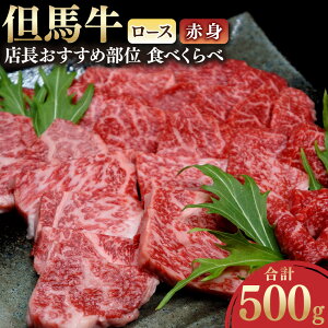 yӂ邳Ɣ[ŁzAn [XƐԐg Xߕ Hׂ 500g    [X [X [X ؂ ؂ Ԑg e250g Hה lߍ킹 Zbg ē Ă BBQ o