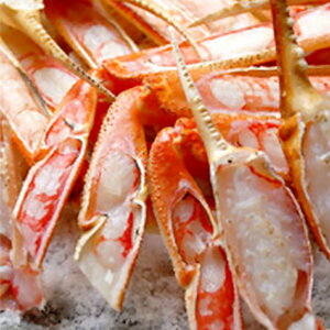 yӂ邳Ɣ[ŁzȈhwx(tI̐g`ElŖ{̊I)hE2h(12H)y1349342z