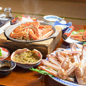 yӂ邳Ɣ[ŁzȈhwԌx(tI̕l`Ŗ{̊I)h(xO)E2h(12H)y1365907z