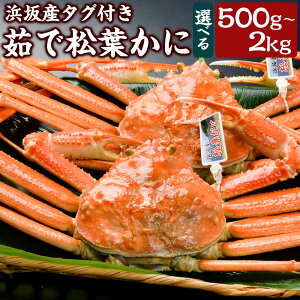 yӂ邳Ɣ[ŁzlY^Ot䥂ŏt Iׂe 1 500`700g ܂ 700`900g 2`3 1.6`1.8kg ܂ 1.8`2.0kg ɐ| I  Jj t tJj I݂ IX Ⓚ Yyz