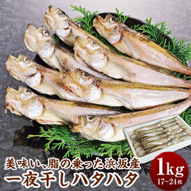 【ふるさと納税】美味い、脂の乗った 浜坂産 一夜干し ハタハタ 1.0kg 17～24枚 はたはた 干物 干し魚 干しハタ 干し物 魚介 1kg おつまみ 惣菜 おかず 国産 冷凍 お取り寄せ 兵庫県 新温泉町 送料無料
