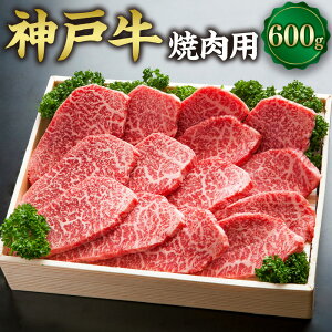 yӂ邳Ɣ[Łz_ˋ ēp SOY2 600g An  a   ₫ɂ ē Ă Ⓚ 񂹃O Ɍ V y2025N2ȍ~\z yVX[p[SALE 9J