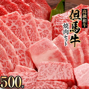 yӂ邳Ɣ[ŁzAnēZbgy500gzyzsnFzy1098409z yVX[p[SALE 9J