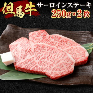 yӂ邳Ɣ[ŁzAn T[CXe[L Iׂ 300g×1 or 250g×2    јa a T[C Xe[L Ⓚ Y  uh yzsnFzy1098410z