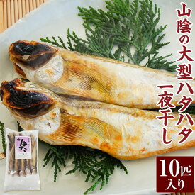 【ふるさと納税】山陰の大型ハタハタ一夜干し 10匹入り ハタハタ はたはた 干物 干しハタ 一夜干し 干し物 魚介 海鮮 山陰 国産 冷凍 お取り寄せ【配送不可地域：離島】【1075782】 兵庫県 新温泉町 送料無料