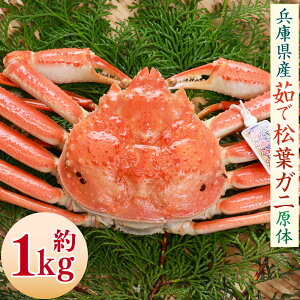 yӂ邳Ɣ[ŁztKj̖{ v䥂ŏtKjiⓀj 1 1kg   Jj I YCKj tKj 䥂  VN CY }Ⓚ  Ɍ V  y