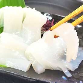 【ふるさと納税】柔らかくて甘い！ お刺身用 白イカ むき身 約350g 下処理済み サイズ不揃い 個包装 になってます【1453376】 いか イカ 烏賊 刺身 お刺し身 刺し身 4～12杯分 冷凍 国産 兵庫県 新温泉町 送料無料
