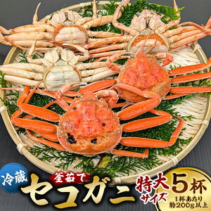 yӂ邳Ɣ[Łz䥂ŃZRKji①jTCY 5ti1t200gȏj 200g×5 v1kg ZRKj   I Jj YCKj tKj tI q Oq Jj~\ IX 