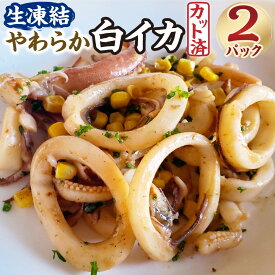 【ふるさと納税】カット済・やわらか白イカ（生凍結）300g×2袋 合計600g いか イカ 白いか 白イカ 冷凍 魚介 炒め物 揚げ物 BBQ バーベキュー【配送不可地域：離島】【1311775】 兵庫県 新温泉町 送料無料