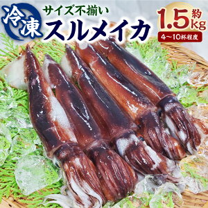 yӂ邳Ɣ[ŁzXCJiⓀjՂ1.5kg 4`10tx TCYs ߂  CJ hg hg hg Ă g CN  Nx3D yzsnFzy1