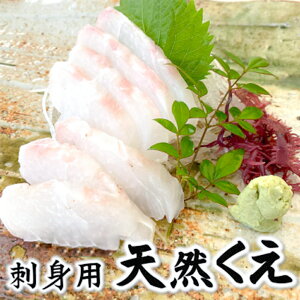 yӂ邳Ɣ[Łzyʌzn@hgp@VRNG@2pbNyzsnFzy1430119z yVX[p[SALE 9J